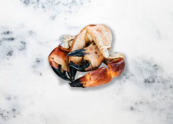 Crab Claws (Necora puber cancer)