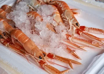 Langoustines …(Nephrops norvegicus)