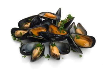 Mussels …(Mytilus edulis)