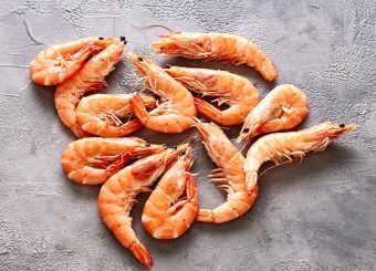 Crevettes ((Litopenaeus stylirostris)