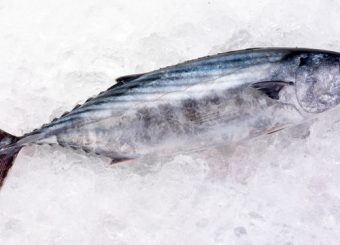 tuna